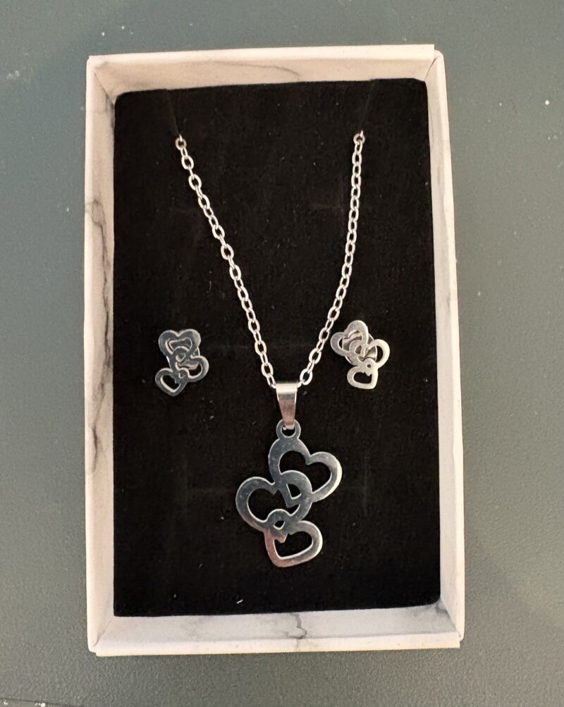 Necklace & Earing Sets in Gift Box - Stainless Steel - Various Designs - Image 3